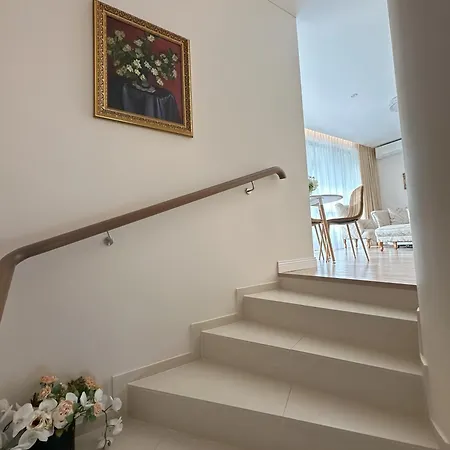 Forest & Sea * Паланга