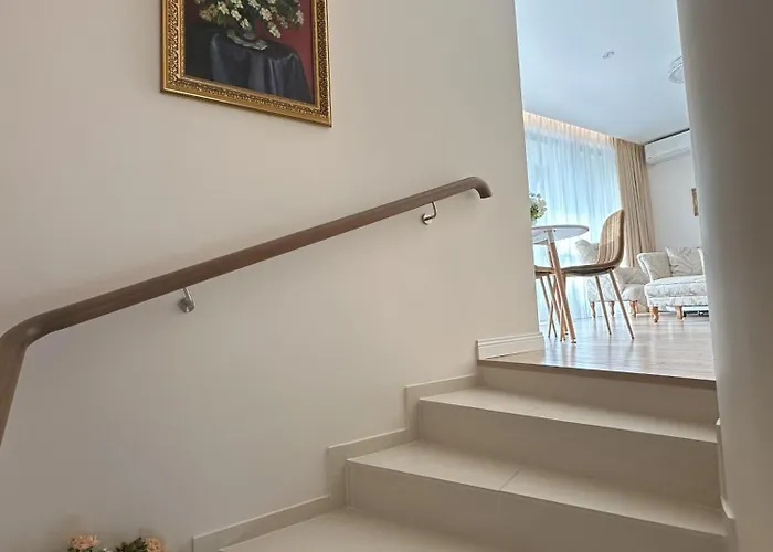 Forest & Sea * Palanga